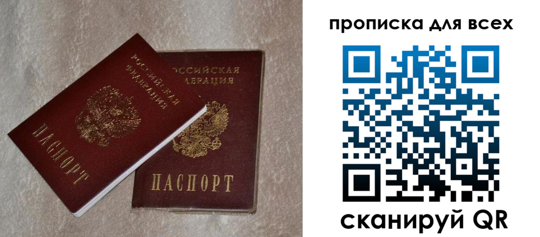 прописка в квартире в Калининграде